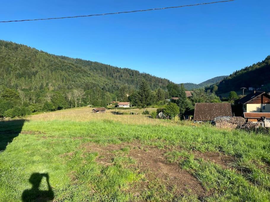 Appartement 5 Personnes Avec Espace Plein Air Saint-Maurice-sur-Moselle Exterior foto